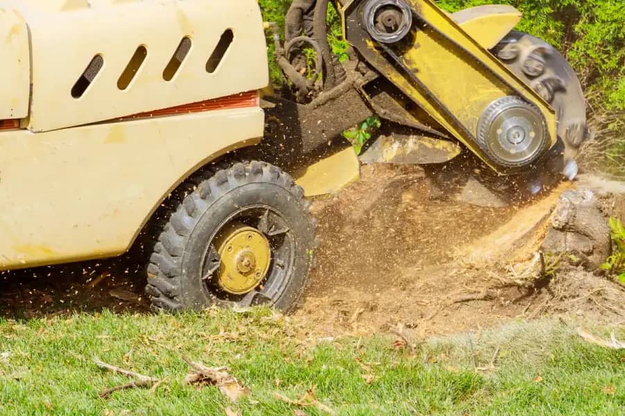 Stump Grinding by Atlanta TreeWorks in Metro Atlanta